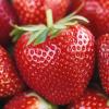 Strawberry Close Up CREDIT:countryliving.com